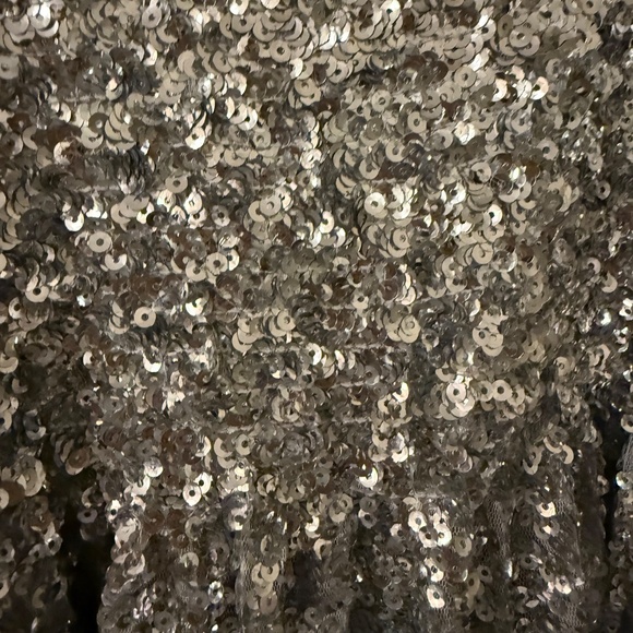 Silver Sequin Holiday Collector’s Edition Hill House Nap Dress - Size Small - Picture 4 of 4